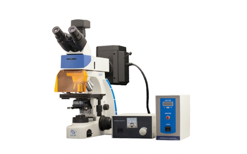 重光COIC UY203i正置荧光显微镜